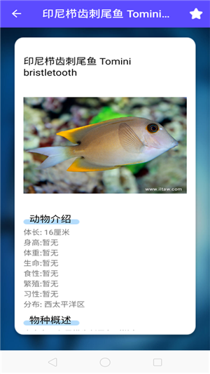 鱼塘水族馆2