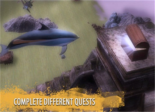 海豚家族模拟器0