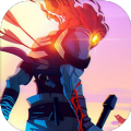 dead cells