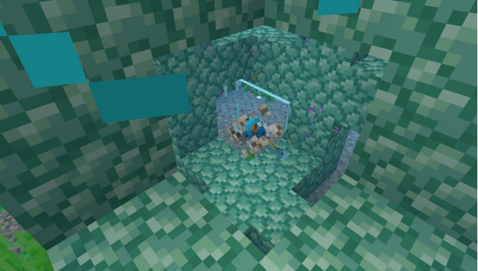 我的世界五月份考题全部答案2