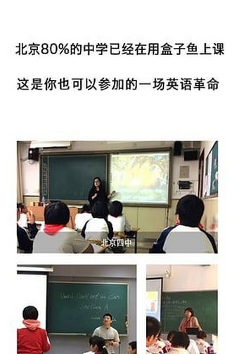 盒子鱼英语