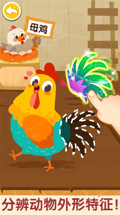 奇妙的动物家庭0