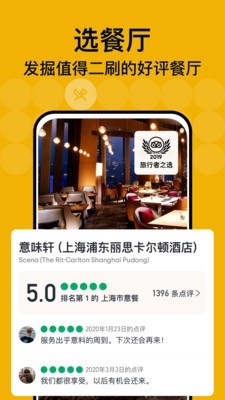 TripAdvisor猫途鹰1