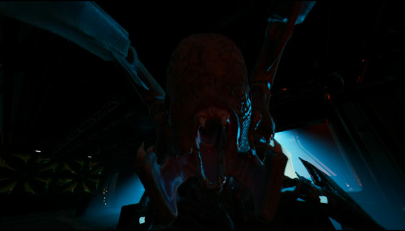 复仇女神号遇险0