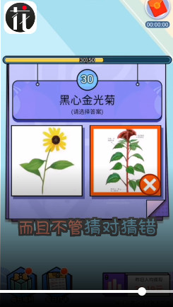 爱上鲜花1