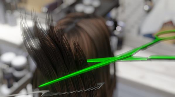 Hairdresser Simulator2