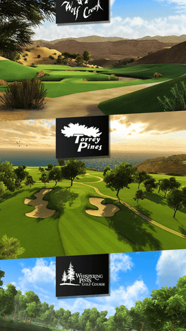 大家来打高尔夫2