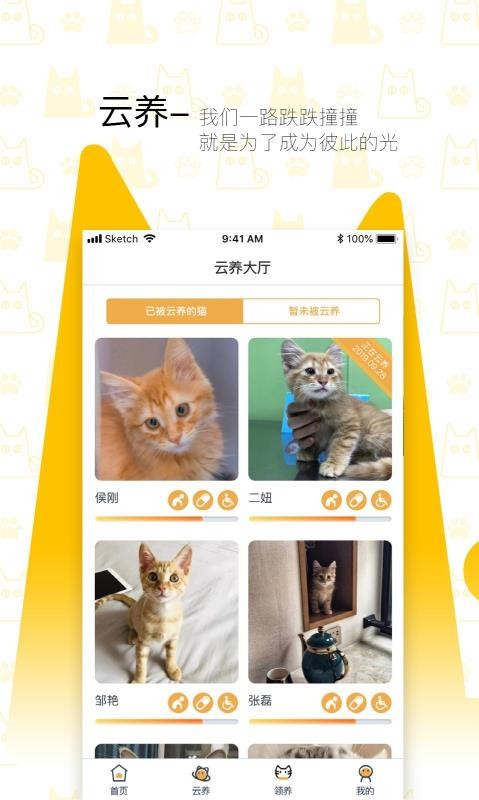 我要猫3