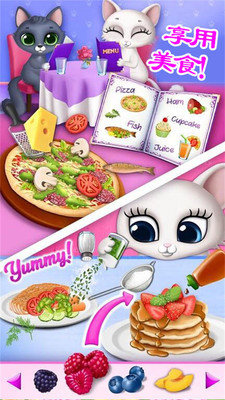 公主宠物小猫咪2