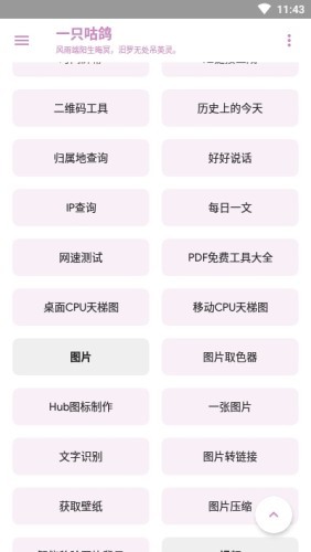 一只咕鸽1