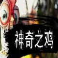 神奇之鸡