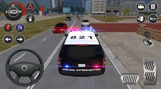 美国警察驾驶模拟器1