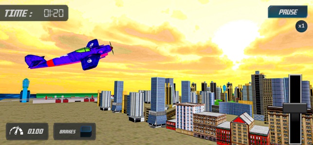 2020年飞机飞行员1