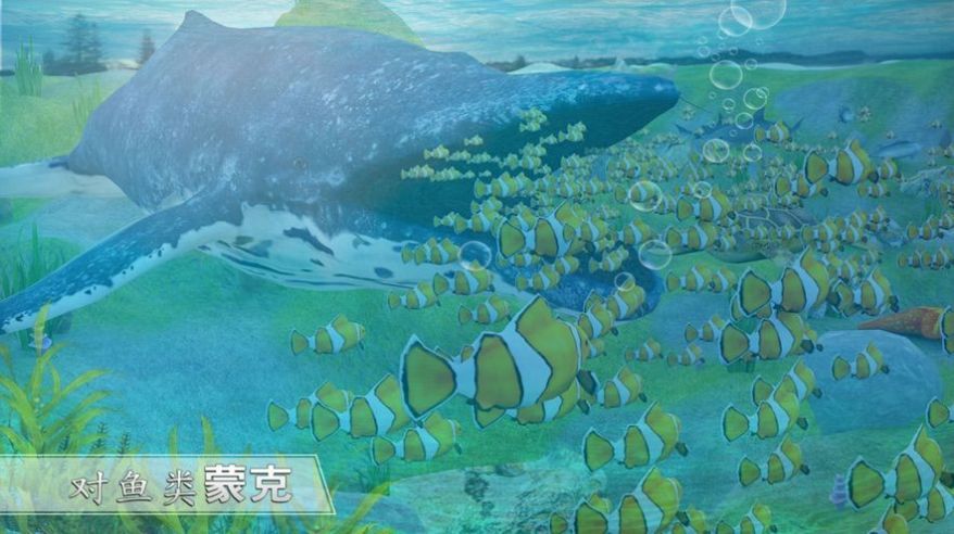 全民养鲸鱼2