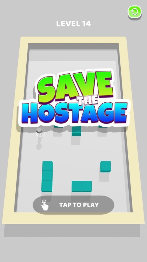 Save The Hostage3