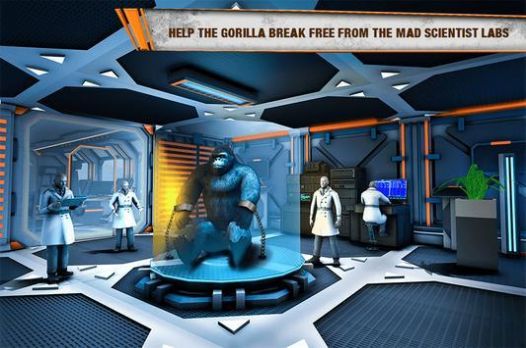 大猩猩横冲直撞1