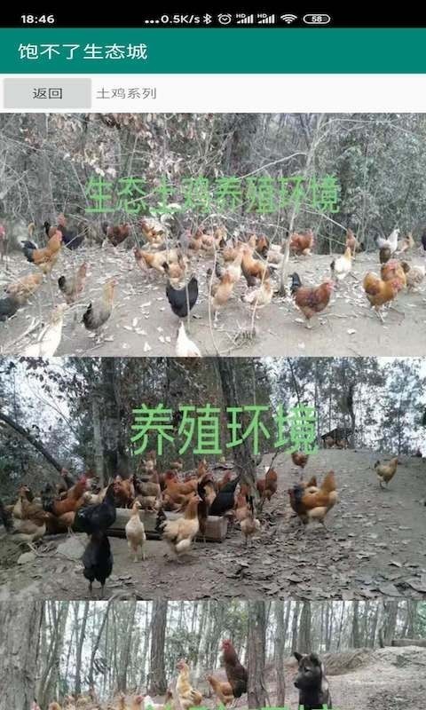 饱不了2