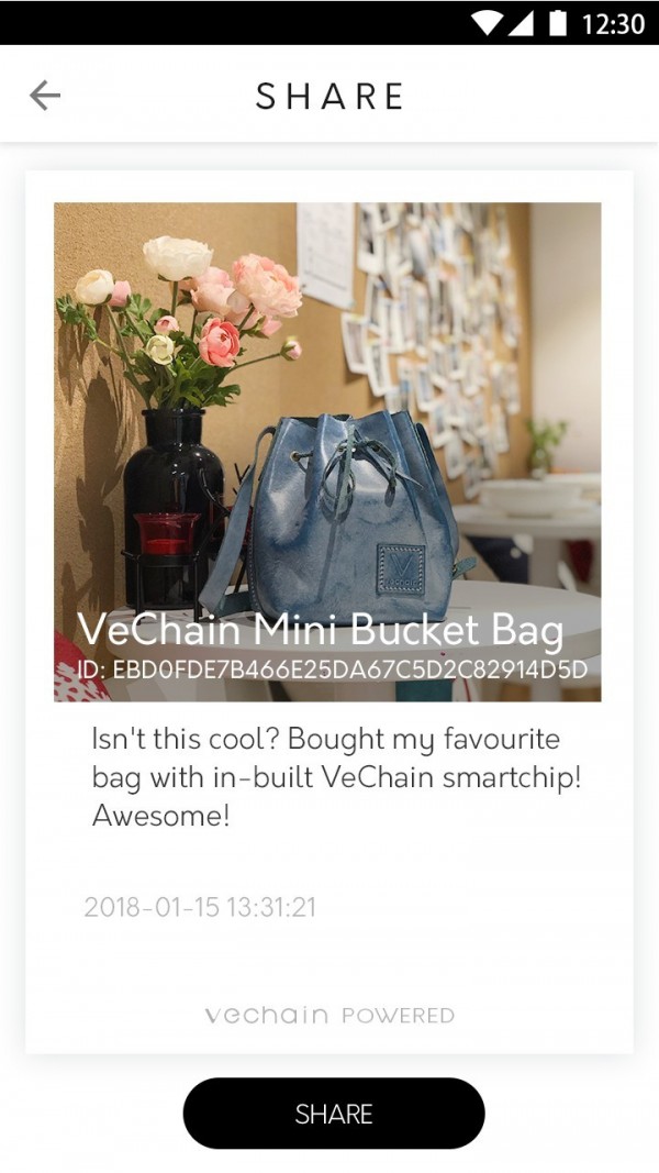 VeChain Pro4