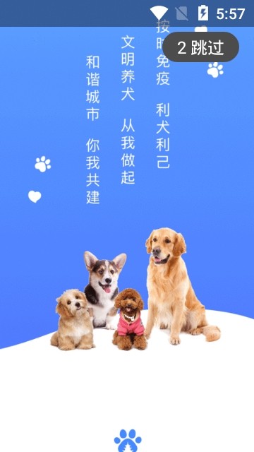 贵养犬