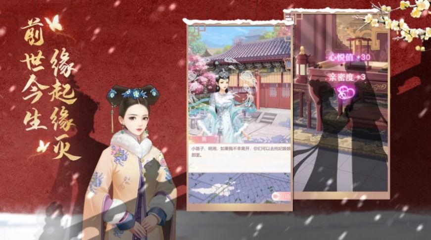 回到清朝做王妃3