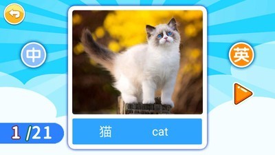 宝贝学前英语启蒙22