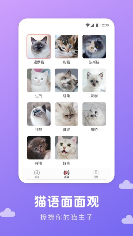 猫语翻译君1