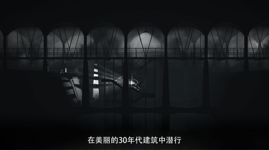 黑白雨夜安卓中文版0