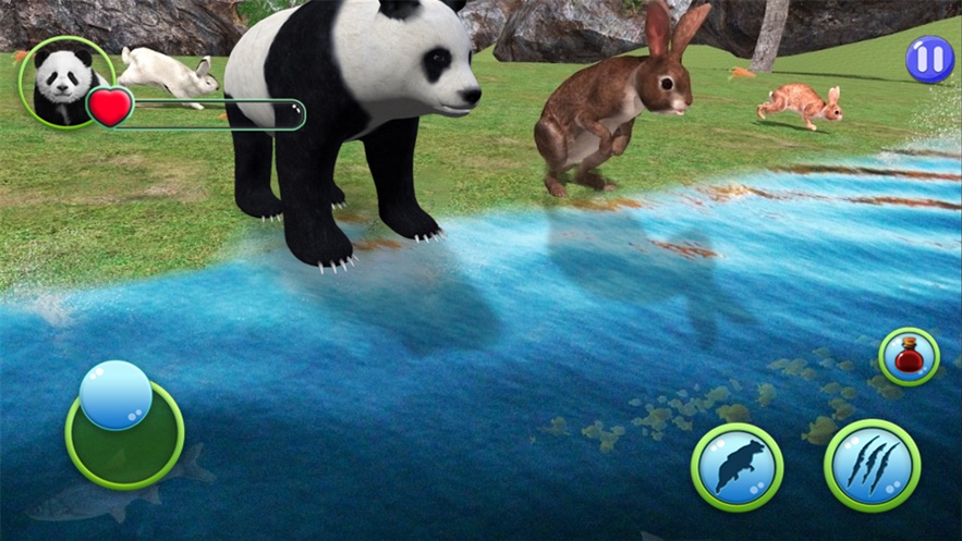 动物熊猫模拟器1