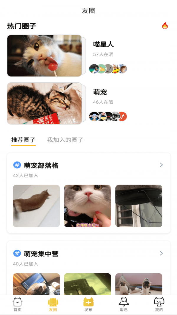友猫1
