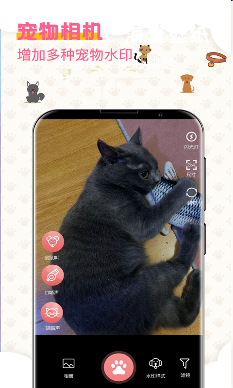 宠物趣味翻译器0