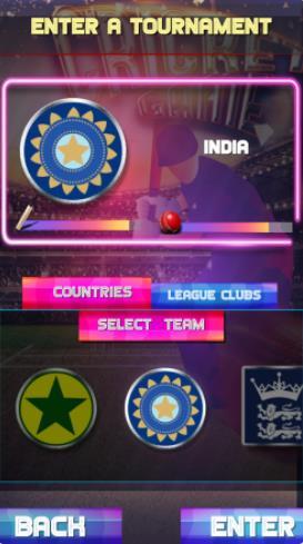 fun cricket 20191