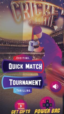 fun cricket 20192