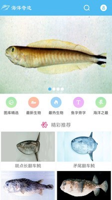 海洋奇迹0