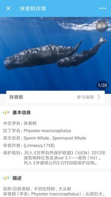 海洋奇迹1