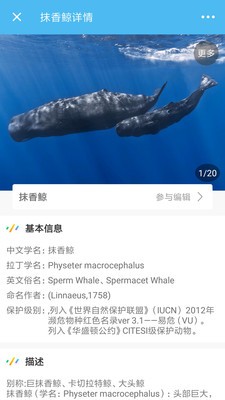 海洋奇迹 海洋奇迹
