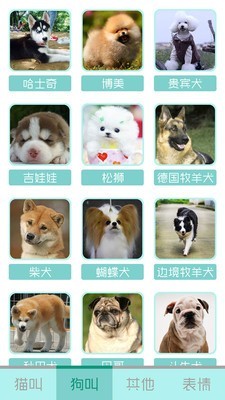 猫叫声狗叫声模拟2