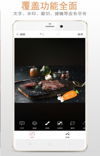 图片加文字大师0