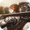 名将无双小米版