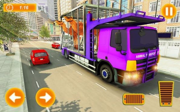 美国野生动物运输2