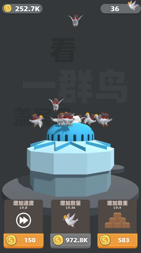 看一群鸟盖房子1