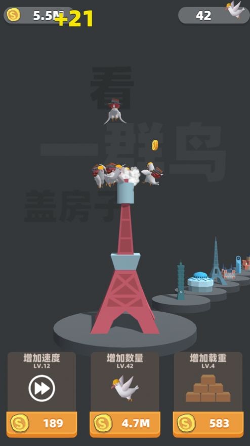 看一群鸟盖房子2