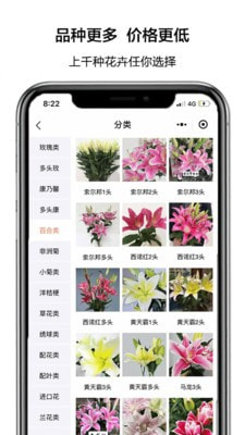 花比三家0