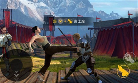 暗影格斗31.23.02