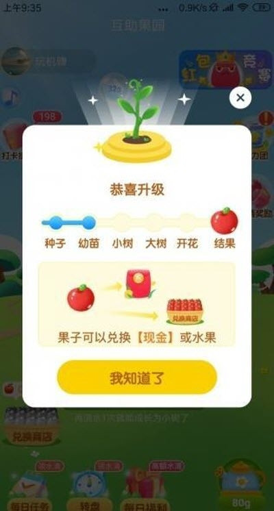 疯狂果园1