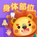 儿童早教身体部位认知