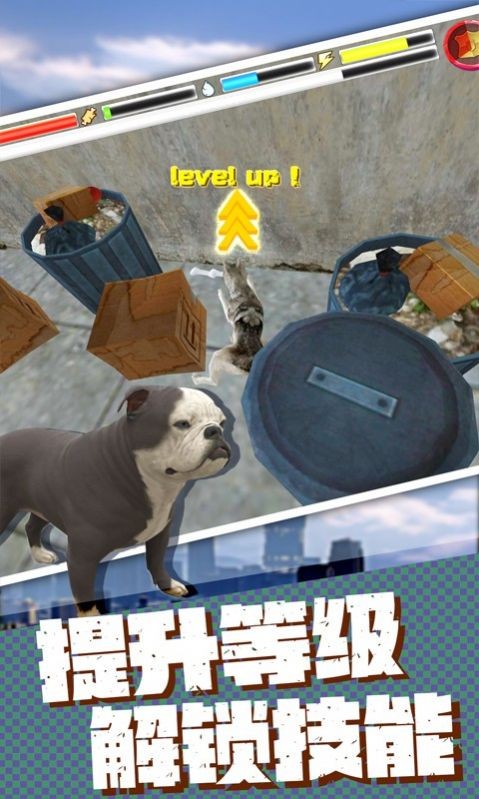 流浪狗生存模拟器1