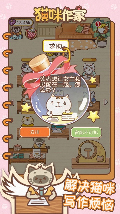 我追的小说作者竟是一只猫5
