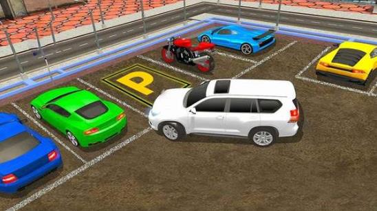 普拉多停车驾驶