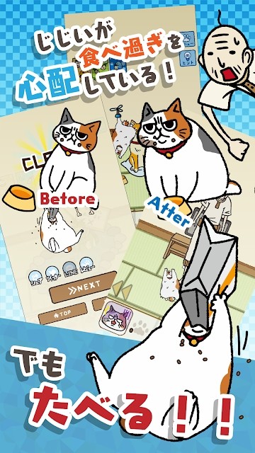 为饥饿的猫寻找饲料1