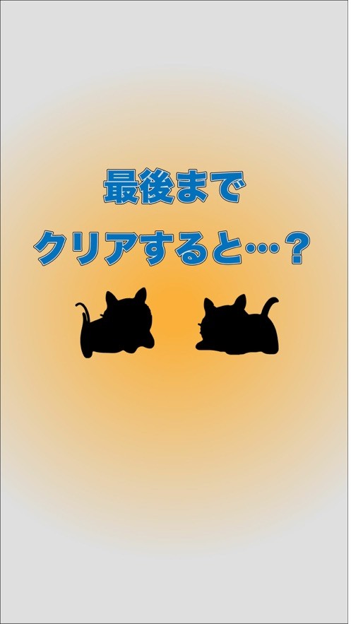 寻找路边消失的小猫0